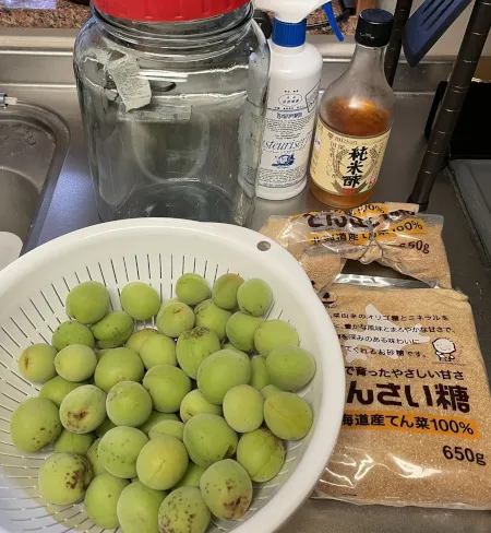 材料