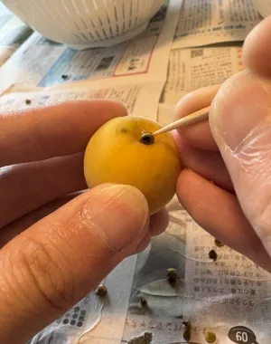 梅のヘタ取り