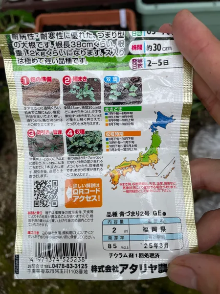 耐病大根の種袋の裏。畑の準備・種まき・間引き・収穫の手順と、品種名の青づまり2号が書かれている