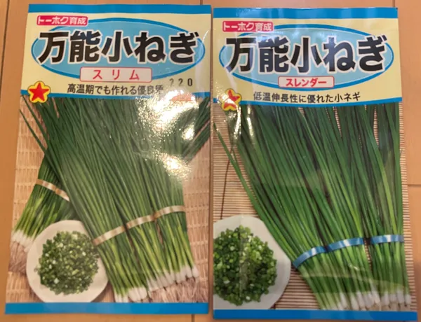 小ねぎの種袋2つ。左がスリム、右がスレンダー