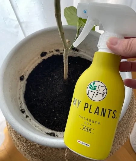 コバエ退治ミストを観葉植物の鉢に散布する前の様子