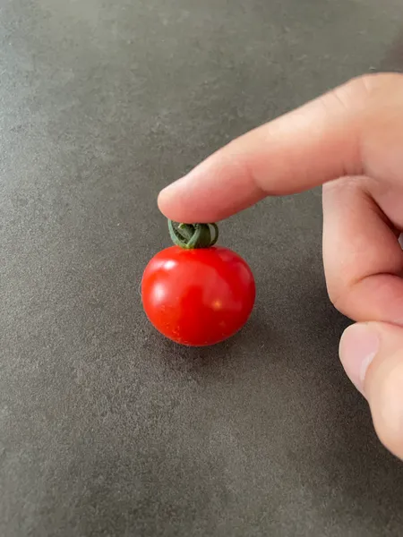 収穫した中玉トマトに指を添えて大きさを見せている