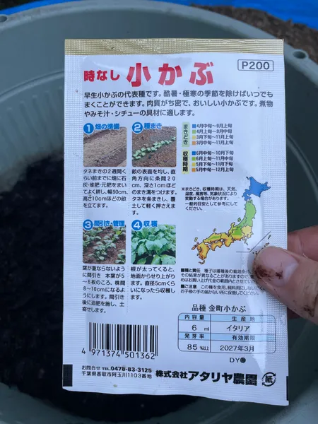 時なし小かぶの種袋の裏。畑の準備・種まき・間引き・収穫の手順と、品種名の金町小かぶが書かれている