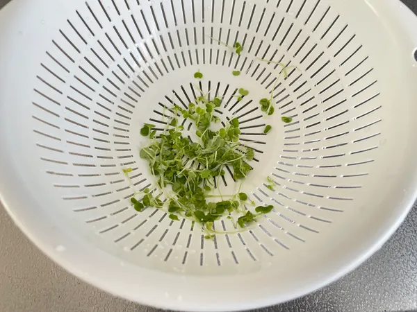 白いざるに入れた小カブの間引き菜