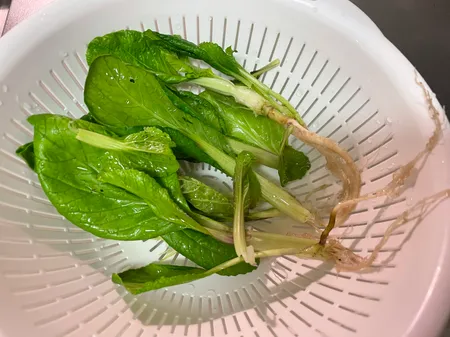 根が付いたままザルで洗ったビタミン菜