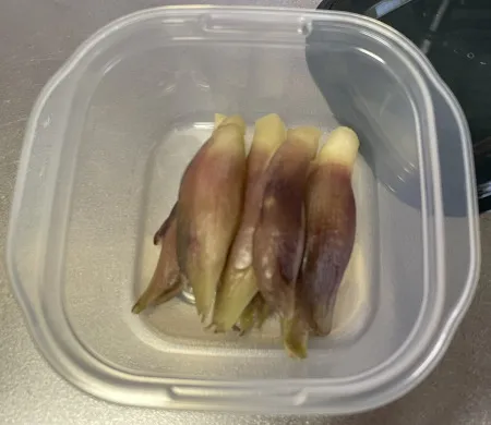 みょうがのぬか漬け